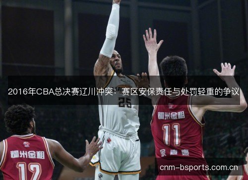 2016年CBA总决赛辽川冲突：赛区安保责任与处罚轻重的争议